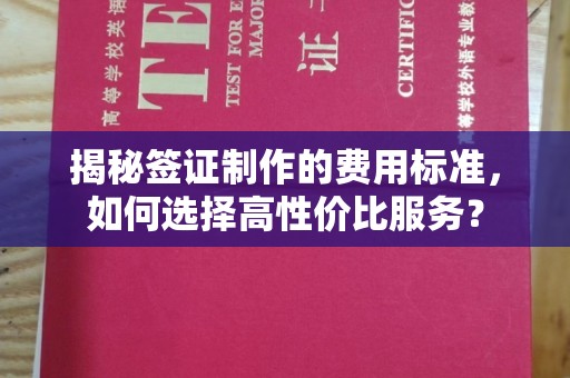 宝安揭秘签证制作的费用标准，如何选择高性价比服务？